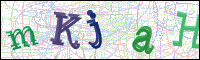 Image Verification